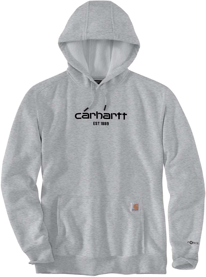 Carhartt Lightweight Logo Graphic Hoodie, grijs, afmeting S