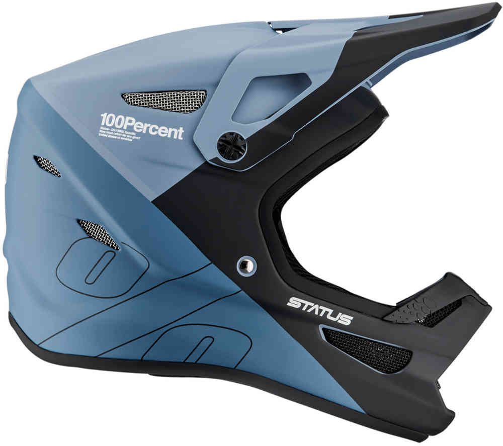 100% Status Downhill Helmet