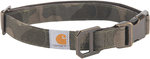 Carhartt Journeyman Hundhalsband