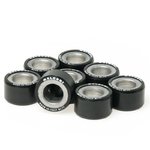 MALOSSI Variator Rollers 25x14,9mm 10gr - Set of 8