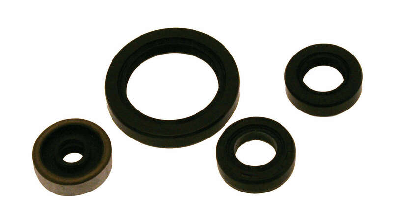 CENTAURO Oil Seal Set