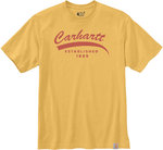 Carhartt Relaxed Fit Heavyweight Graphic T-skjorte