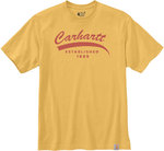 Carhartt Relaxed Fit Heavyweight Graphic T-shirt