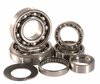 Preview image for HOT RODS Transmission Bearing Kits Honda CR-F250R