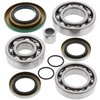 Preview image for All Balls Rear Differential Bearing & Seal Kit Can Am
