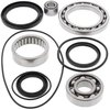 Preview image for All Balls Rear Differential Bearing & Seal Kit Yamaha YFM
