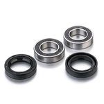 Factory Links Wheel Bearing Kit
