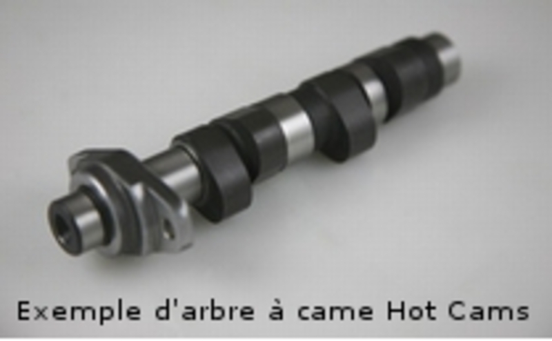HOT CAMS Camshaft - Stage 2 Polaris