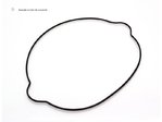 Centauro Outer Clutch Cover Gasket