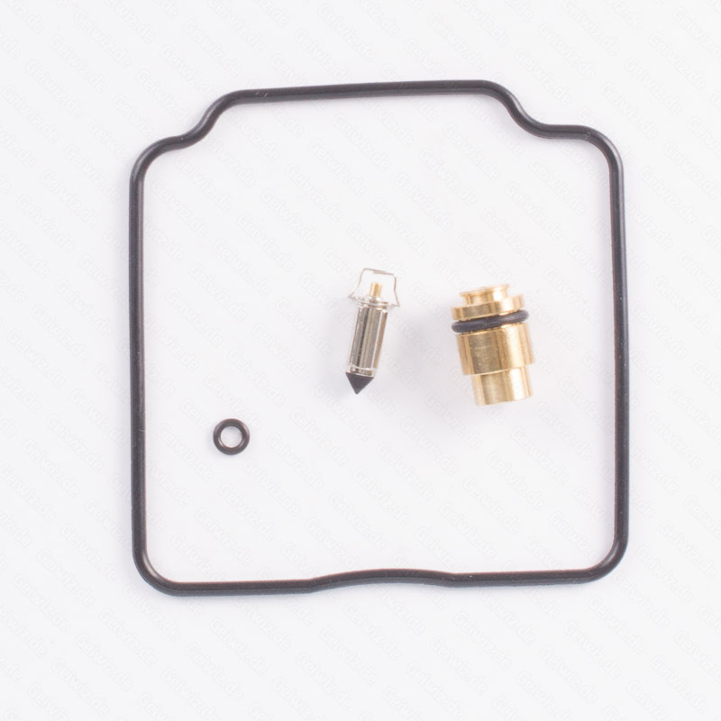 TOURMAX Carburetor Repair Kit