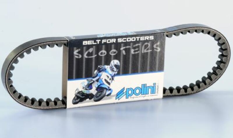 POLINI Standard Transmission Belt