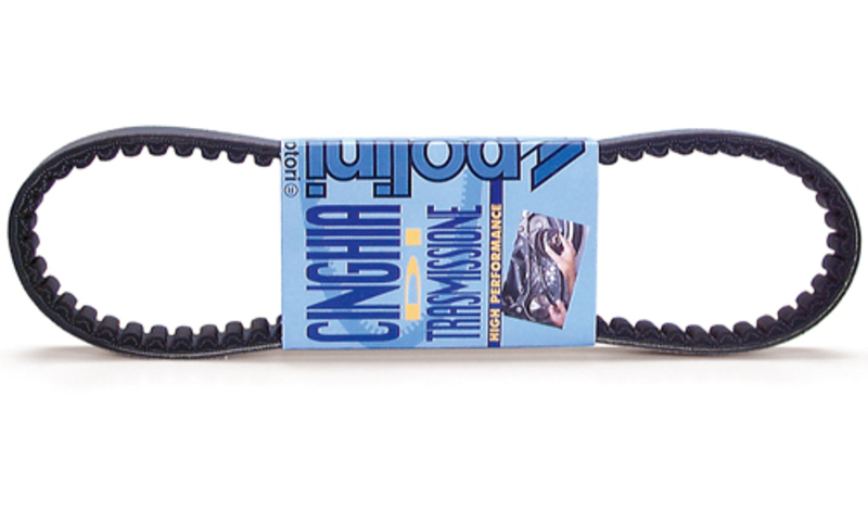 Polini Unisex Standard Transmission Belt