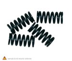 Barnett Clutch Springs Kawasaki Z750/800