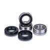 Preview image for Factory Links Rear wheel bearing set for Talon rims