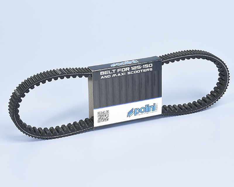 POLINI 传动带