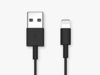 Preview image for Quad Lock USB to Lightning cable - 20 cm