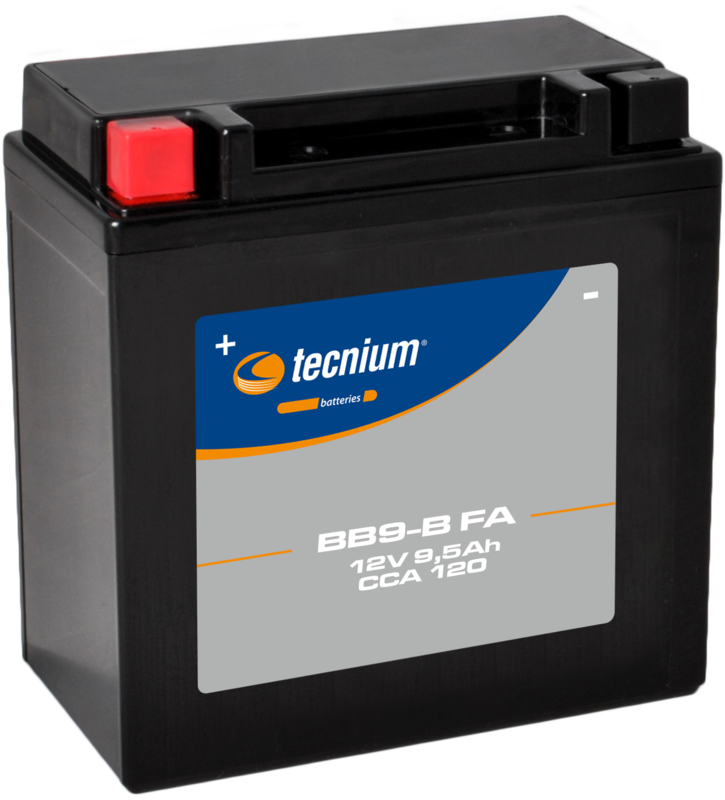 TECNIUM 工厂激活免维护电池 - BB9-B