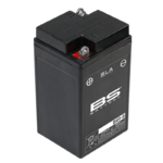 BS Battery SLA Battery Maintenance Free Factory Activated - B49-6