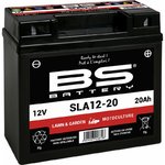 BS Battery Fabriksaktiverat underhållsfritt SLA-batteri - SLA12-20
