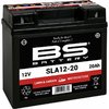 Vorschaubild für BS Battery Werkseitig aktivierte wartungsfreie SLA-Batterie - SLA12-20