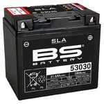 BS Battery Fabriksaktiverat underhållsfritt SLA-batteri - 53030