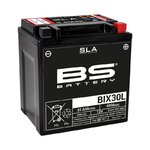 BS Battery Fabriksaktiverat underhållsfritt SLA-batteri - BIX30L