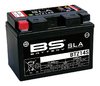 BS Battery Batería SLA libre de mantenimiento habilitada de fábrica - BTZ14S