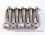 SCAR Kit tornillo de titanio M8x15 por 2