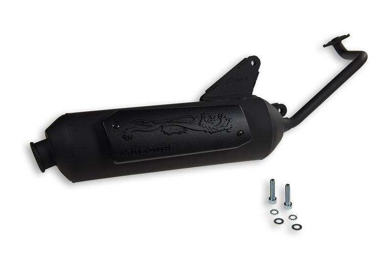 MALOSSI Wild Lion Exhaust