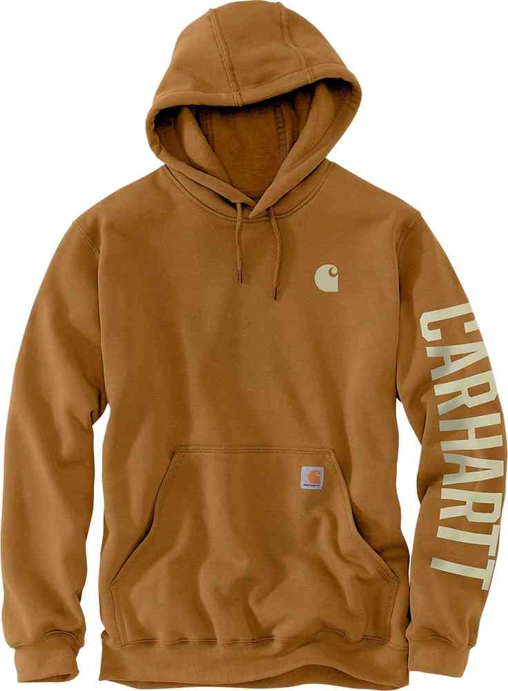 Carhartt Rain Defender Loose Fit Midweight C Graphic Capuche