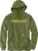 Preview image for Carhartt Rain Defender Lose Fit Midweight Logo Graphic Hoodie