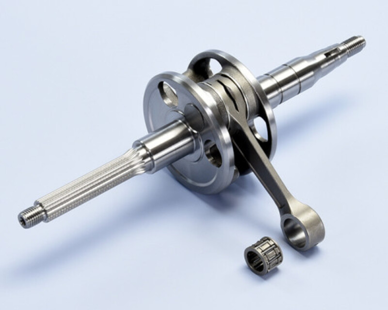 Polini Unisex Crankcase Pgt With Support