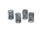 MALOSSI Reinforced Clutch Spring Set With External Ø 15mm And Length 31.5mm for Clutch