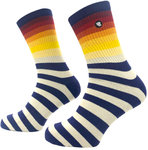 Riding Culture Rainbow Socken