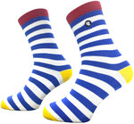 Riding Culture Stripes LT Socks