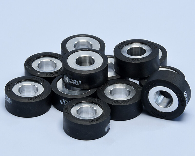 Polini Unisex Variator Rollers 25X11mm 8,3Gr - Set Of 12