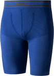 Lenz 6.0 Merino Функциональные шорты