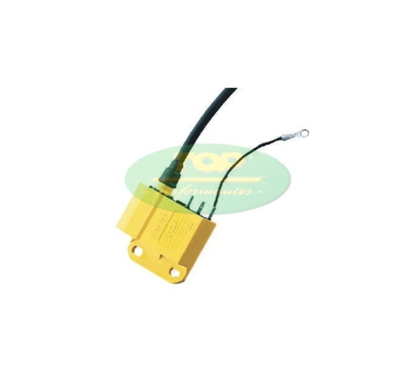 TOP PERFORMANCES CDI fester Vorlauf für Motoren Minarelli AM (FWM Ducati 6 Spulen)