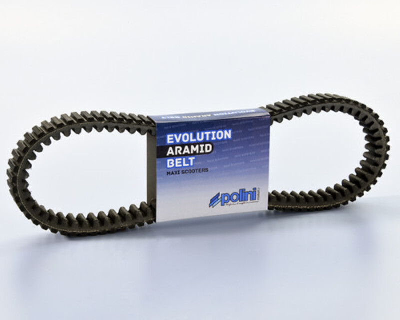 POLINI Variator belte