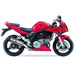 IXIL Slip On Hexoval Extrem Silencers (Right+Left Side)