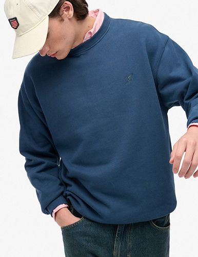 Superdry & Co Hoodies & Pullover